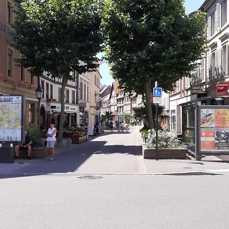Διαμέρισμα Le Vauban Avec Parking Couvert Κολμάρ